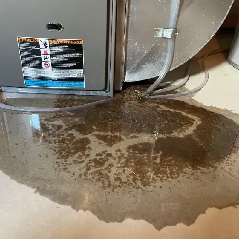 Appliance Leak Cleanup in Lower Lake, CA